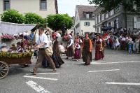 IMG_6115 (2) 